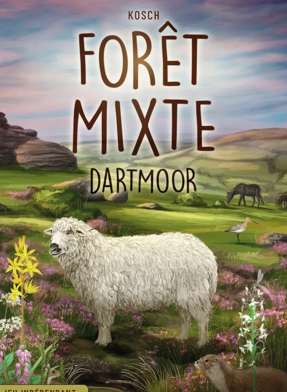 Forêt Mixte : Dartmoor