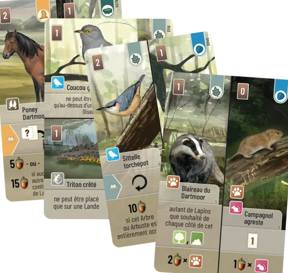 Forêt Mixte : Dartmoor