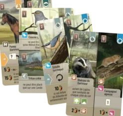 Forêt Mixte : Dartmoor + extension Exmoor