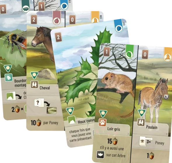 Forêt Mixte : Dartmoor + extension Exmoor