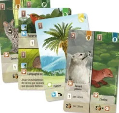 Forêt Mixte - jeu de base + 3 extensions