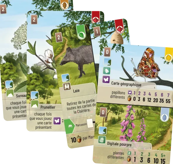 Forêt Mixte - jeu de base + 3 extensions