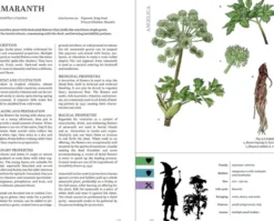 Herbalist’s Primer