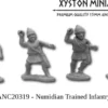 Infanterie Numide Entrainée