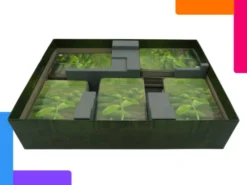 Insert compatible Forêt Mixte + extensions
