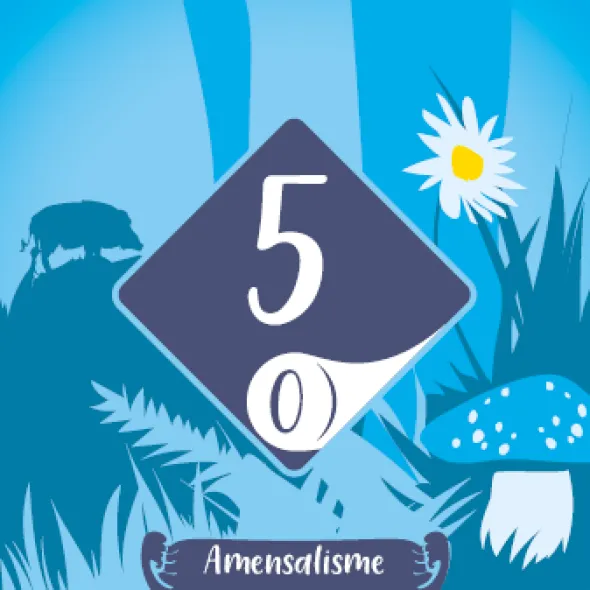Interactions - Nature Sans Pitié