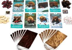 Katmai: The Bears of Brook River