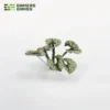 Laser Plants - Bugloss