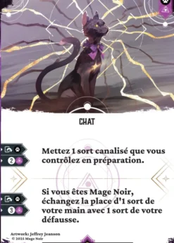 Mage Noir - Le Chat et l'Astronome