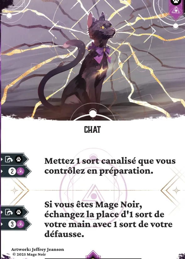 Mage Noir - Le Chat et l'Astronome