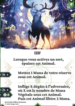 Mage Noir - Pack de 6 extensions - Saison 3
