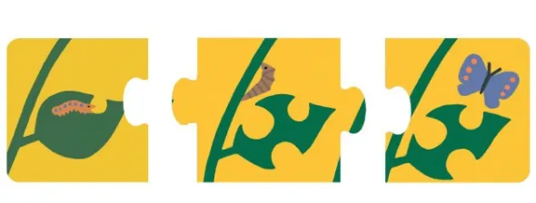Ma première histoire puzzle - Animaux