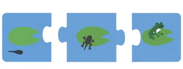 Ma première histoire puzzle - Animaux