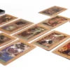 Mollymauk Tealeaf (and Jester Lavorre) Oracle of the Moon Tarot Deck