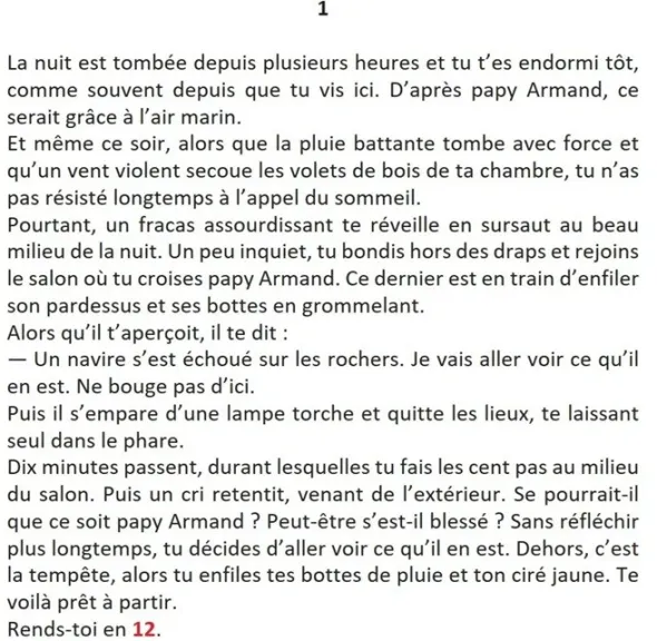 Navire en Détresse