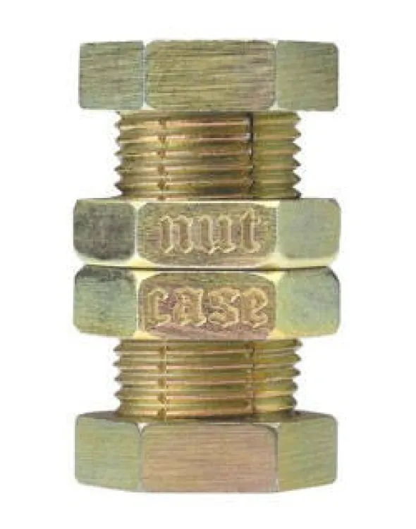Nutcase - Cast Puzzle