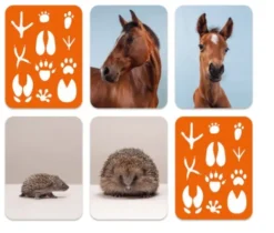 Où est mon petit ? Le memory des animaux