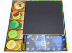 Organisateur pour Photosynthesis