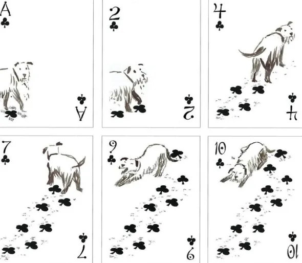 Pack of Dogs Playing Cards
