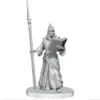 Pathfinder Battles Deep Cuts Unpainted Miniatures: Vloriak & Demonologist