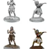 Pathfinder Deepcuts Unpainted Miniatures: Half-Elf Female Monk