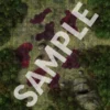 Pathfinder Flip-Mat: Ritual Sites