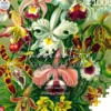 Puzzle - Ernst Haeckel - Orchid - 1000 pièces