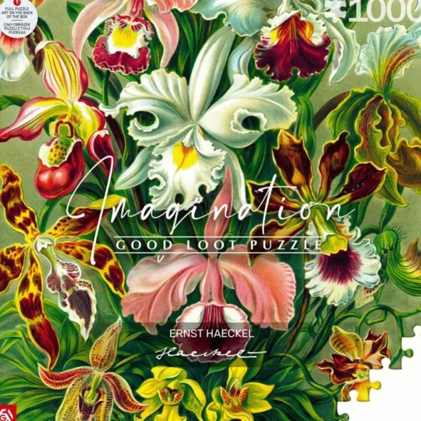 Puzzle - Ernst Haeckel - Orchid - 1000 pièces
