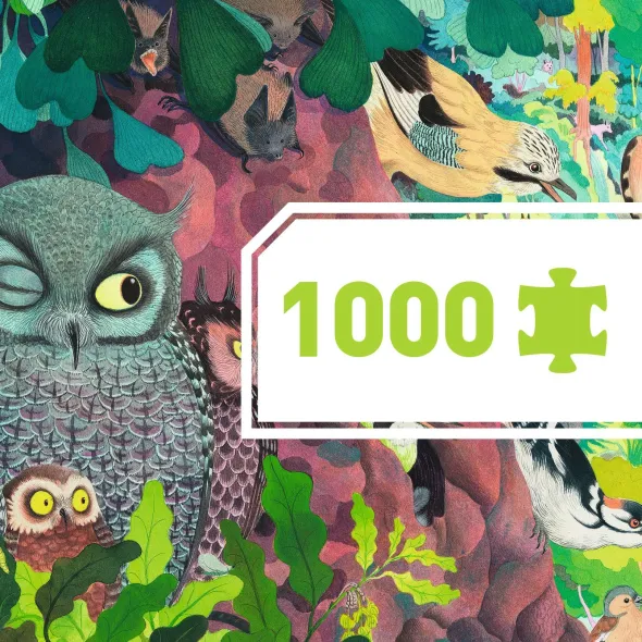 Puzzle Gallery - Owls and Birds - 1000 Pièces