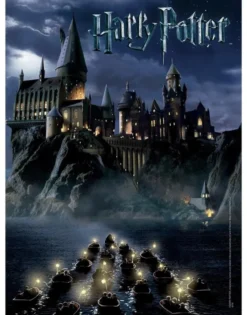 Puzzle - Harry Potter World Of Puzzle - 550 pièces