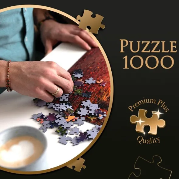 Puzzle - La Petite Venise à Colmar - 1000 pièces