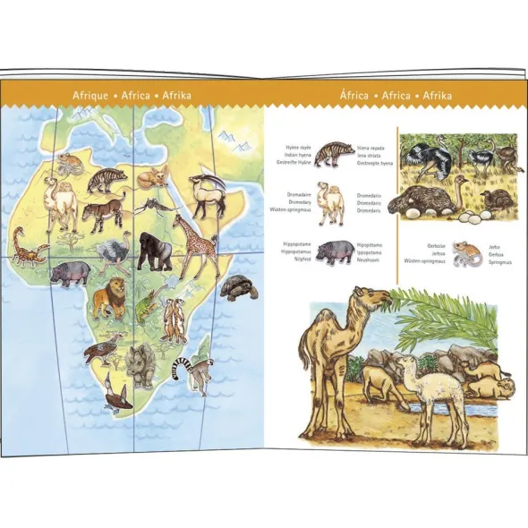 Puzzle Observation - Les animaux du monde - 100 pièces