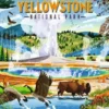 Puzzle - Parc national de Yellowstone- 500 pièces