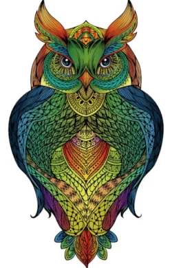 Rainbow Puzzle en bois - Hibou - 137 pièces