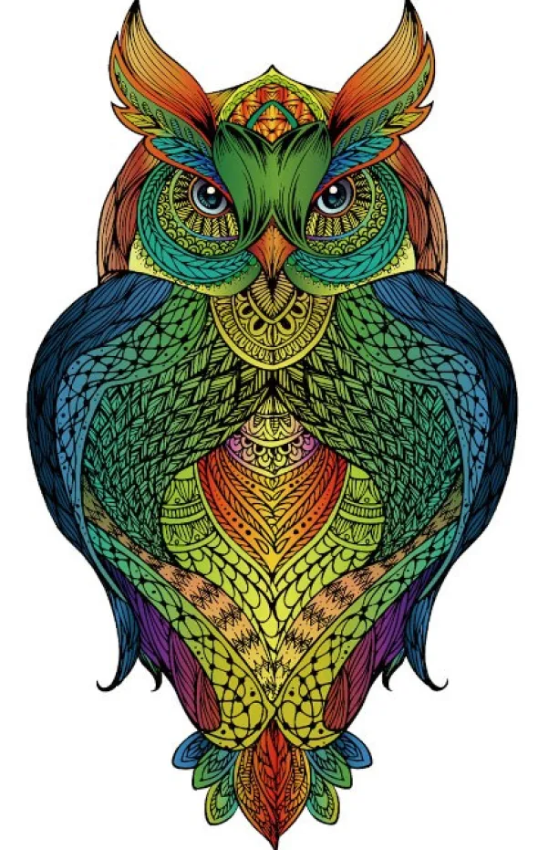 Rainbow Puzzle en bois - Hibou - 137 pièces