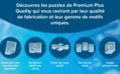 Secret Puzzle: Sanctum - 1000 pièces