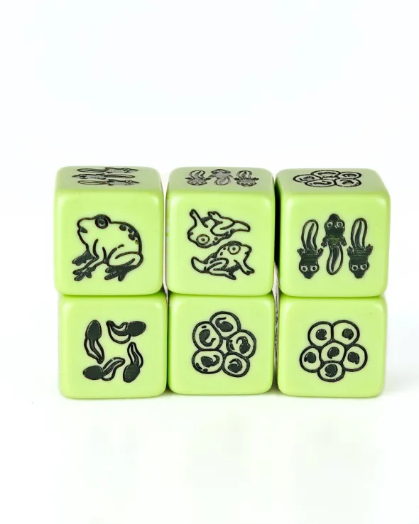 Set de 4 D6 – Cycle de vie de la grenouille