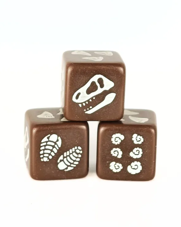 Set de 4 D6 – Fossile de dinosaure