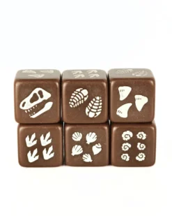 Set de 4 D6 – Fossile de dinosaure