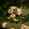 Set de 4 D6 - Insecte