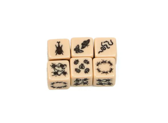 Set de 4 D6 - Insecte