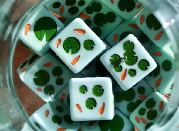 Set de 4 dés D6 - Thème étang