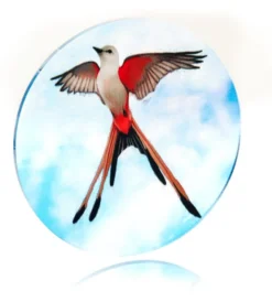 Set de Pions Poland Games - Wingspan