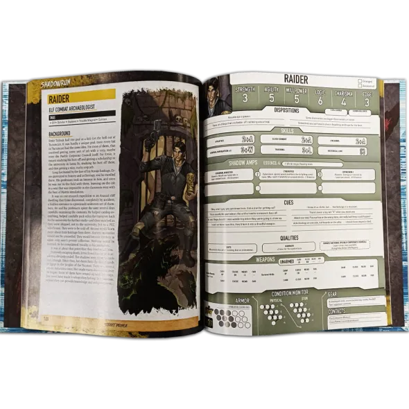 Shadowrun: Anarchy