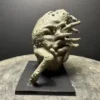Sun Rot - Negation Titan