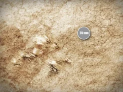 Terrain Mat Mousepad - Kill Team - Wasteland V2