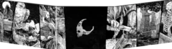 Thanatos - Les Terrains de Chasse