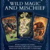 The Game Master's Deck of Wild Magic and Mischief