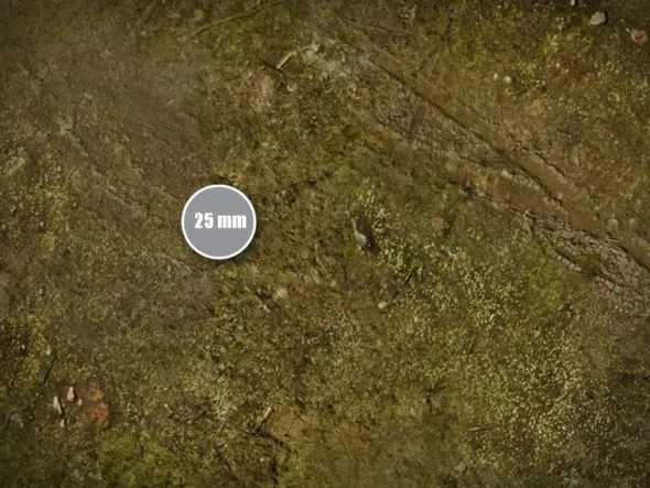 The Old World - Terrain Mat Mousepad Compatible