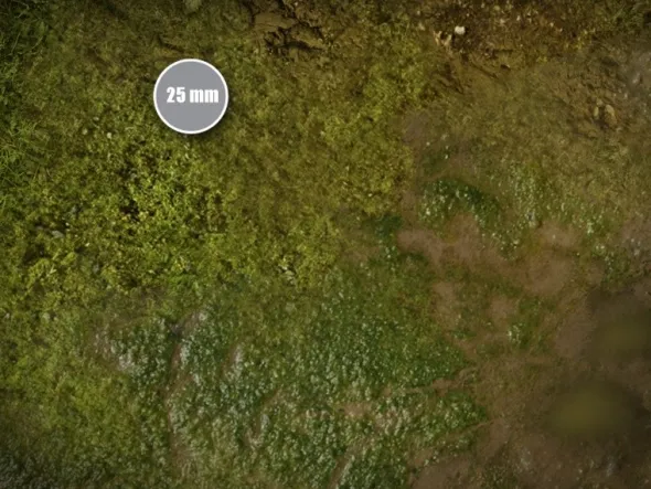 The Old World - Terrain Mat Mousepad Compatible